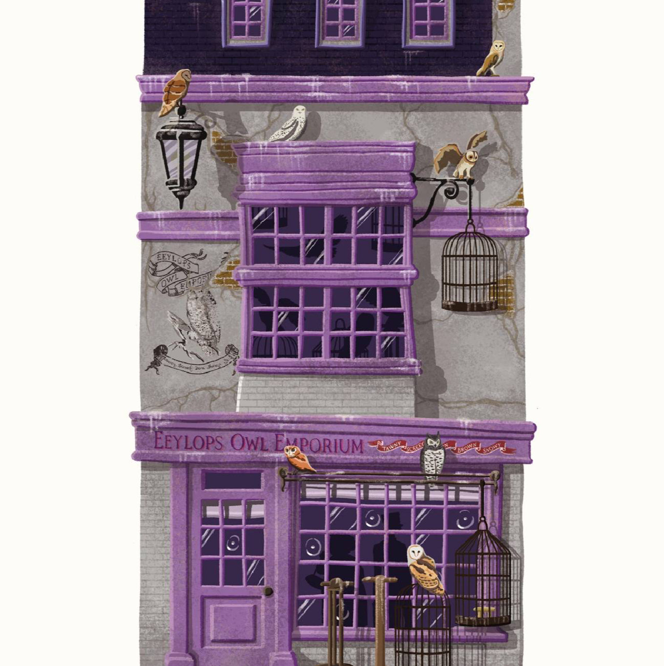STAMPA EEYLOPS OWL EMPORIUM 30x40 cm